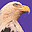 Big Birds Screensaver icon